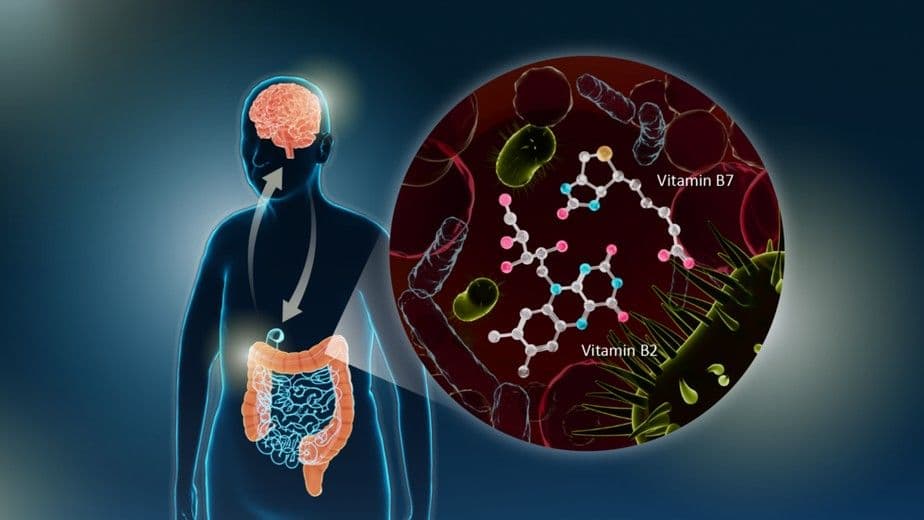 Conexão entre micro-organismos no intestino e Parkinson pode abrir caminho para novos tratamentos