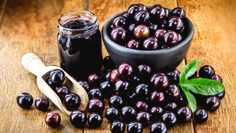 Jabuticaba: A Fruta Brasileira Que Protege Sua Saúde!