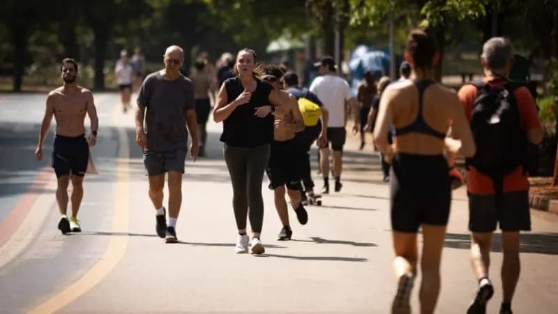 Alimentação não inflamatória e atividade física protegem saúde mental feminina, mostra estudo de SP