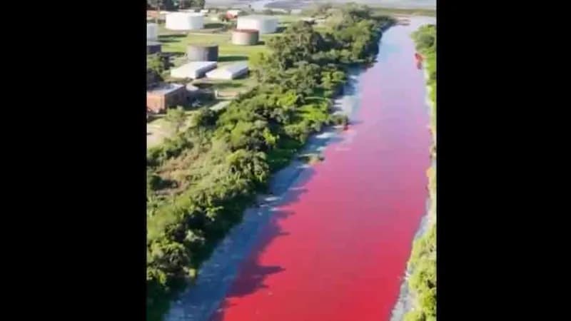 Urgente: Rio de Buenos Aires pode estar contaminado!