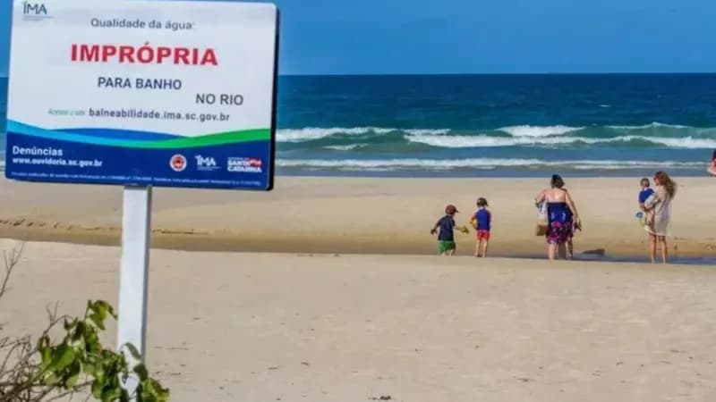 Qualidade da água das praias: entenda como é feita a medição em São Paulo