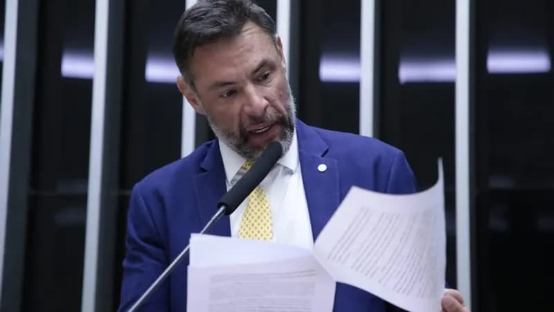 Projeto regulamenta transporte aéreo de animais domésticos no Brasil