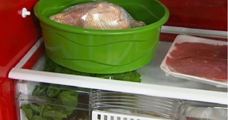 Descubra os perigos de deixar comida fora da geladeira!
