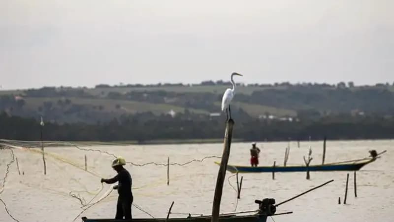 Período de defeso na Bacia Hidrográfica do Rio Paraná termina em 28 de fevereiro
