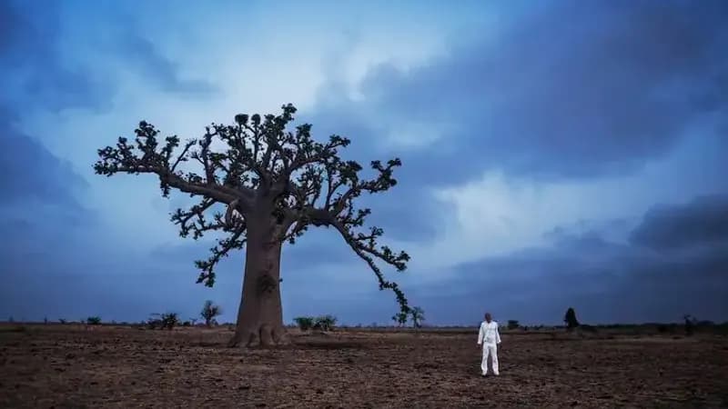 SP: exposição aborda criação do mundo nas religiões afro-brasileiras