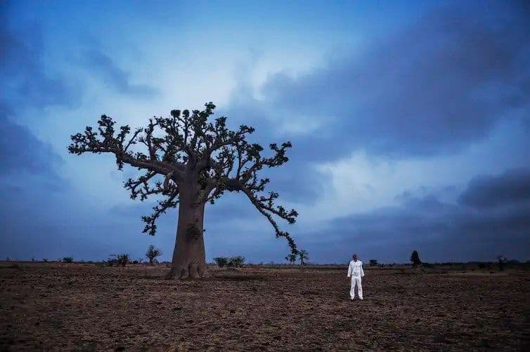 SP: exposição aborda criação do mundo nas religiões afro-brasileiras