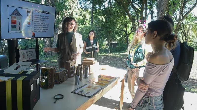 Guarulhos comemora Dia Mundial das Abelhas com trilhas guiadas pelas colmeias do Zoológico