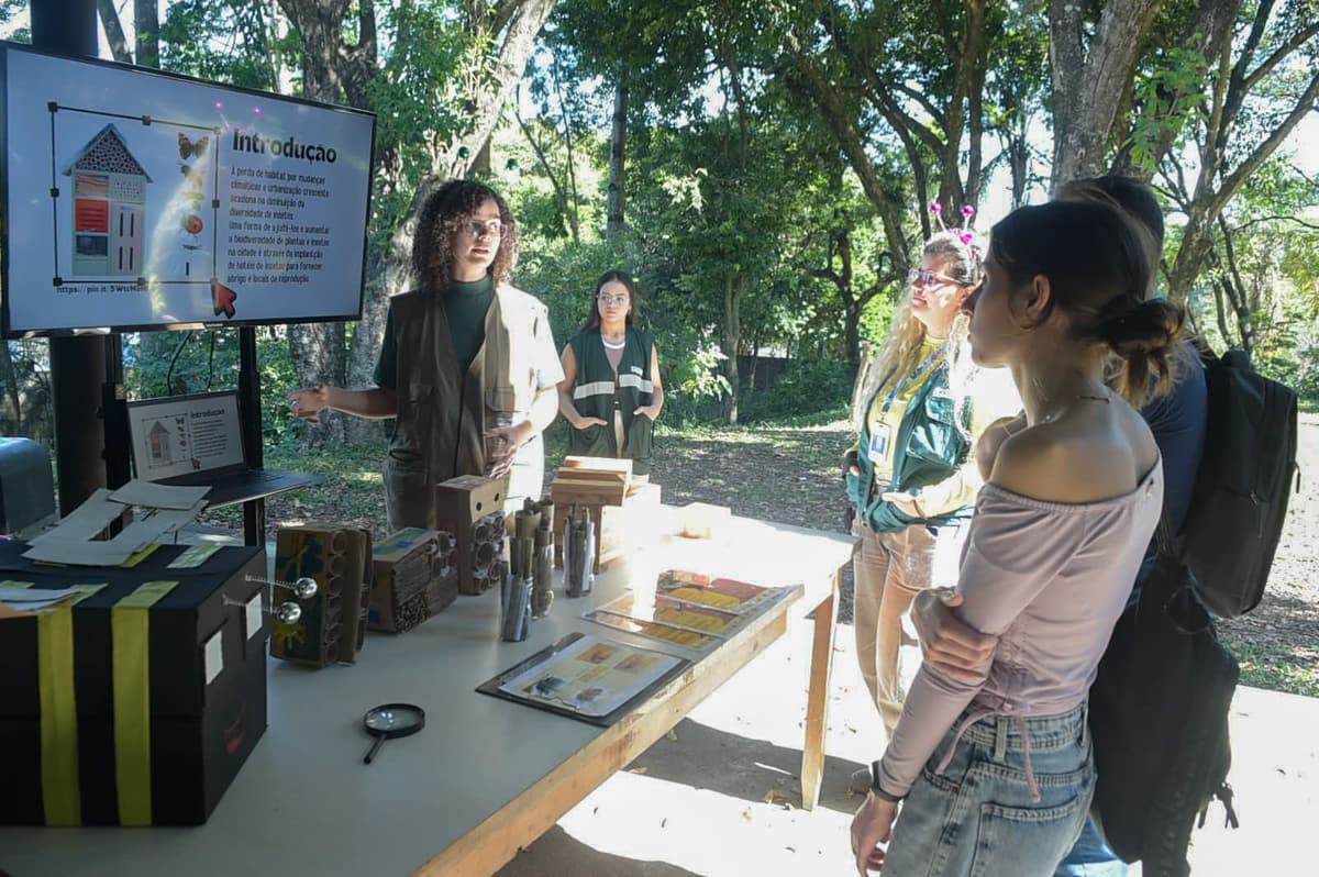 Guarulhos comemora Dia Mundial das Abelhas com trilhas guiadas pelas colmeias do Zoológico