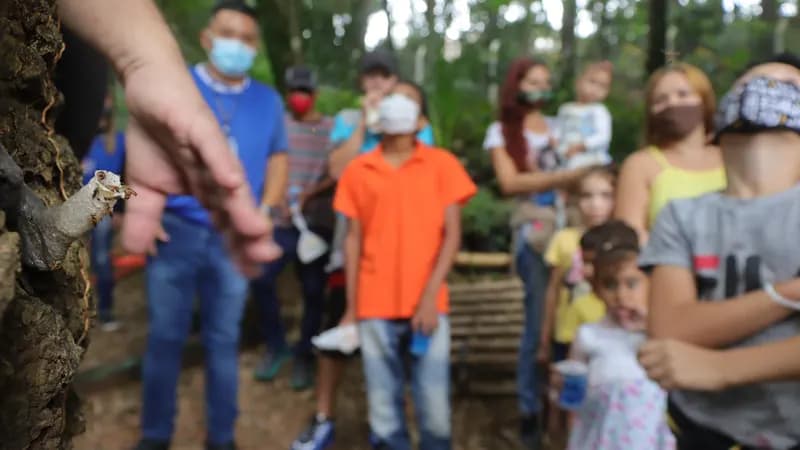 Zoológico realiza últimas edições da trilha das abelhas nesta semana