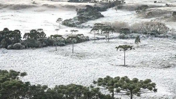 Alerta Urgente: Massa de ar polar causa frio recorde no Brasil!