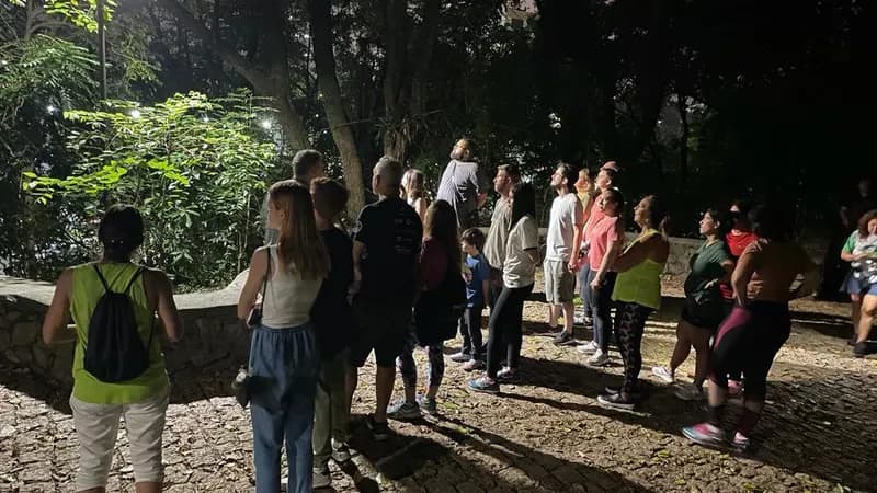 Virada Ambiental 2025 terá atrações como chás naturais e mel de abelhas nativas sem ferrão