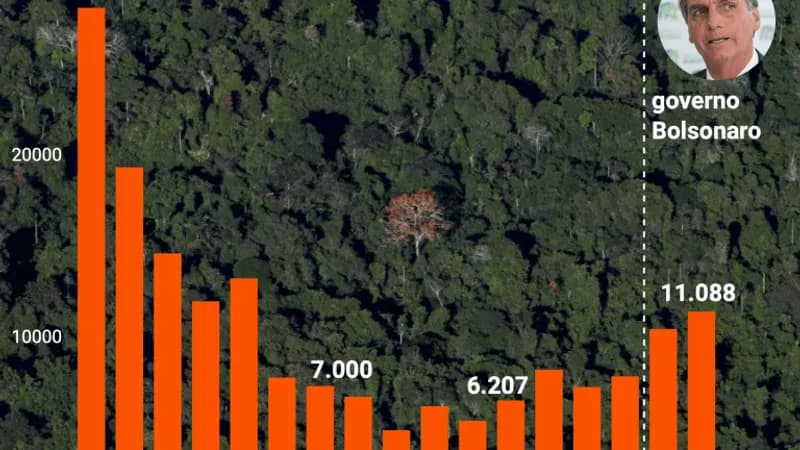 Alerta! Desmatamento na Amazônia volta a crescer