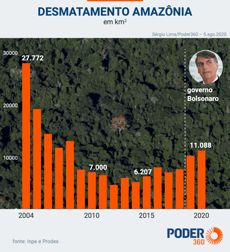 Alerta! Desmatamento na Amazônia volta a crescer