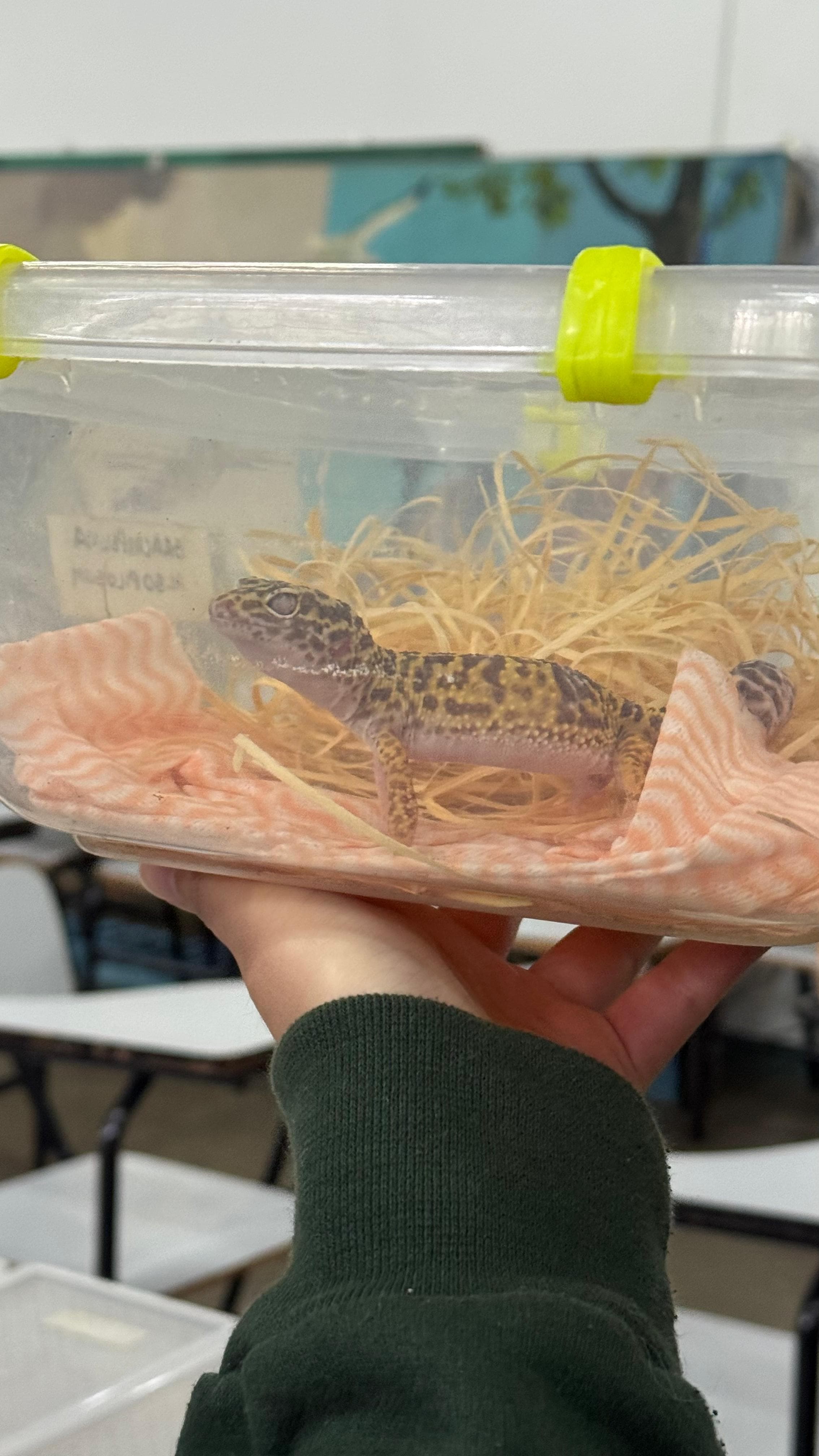 Palestra sobre animais peçonhentos atrai visitantes ao Zoológico