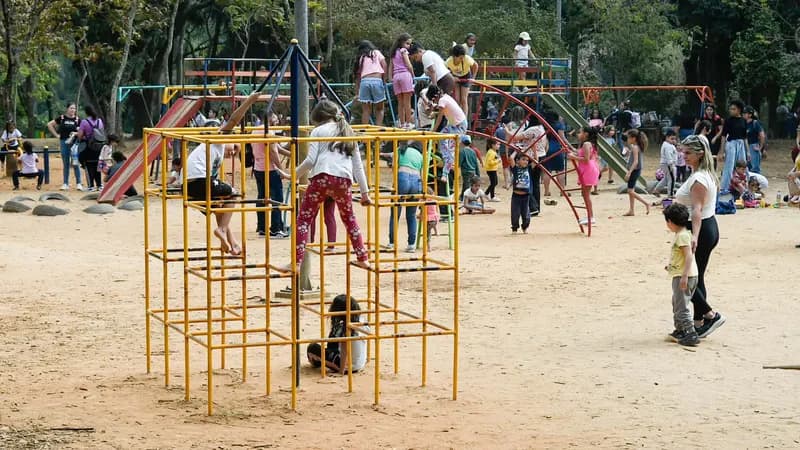 Oficina Jacaré de Boa na Lagoa é atração no Zoo de Guarulhos nesta semana
