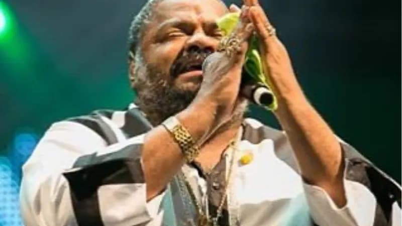 Legado de Arlindo Cruz: Neto emociona ao se despedir cantando samba