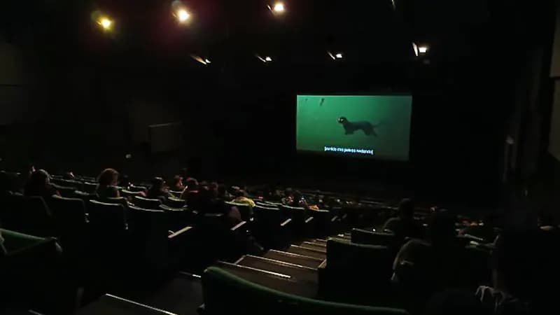 PCDs acolhidas pela Prefeitura de Guarulhos assistem a filme vencedor do Oscar em sessão gratuita