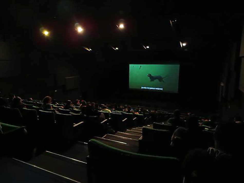 PCDs acolhidas pela Prefeitura de Guarulhos assistem a filme vencedor do Oscar em sessão gratuita