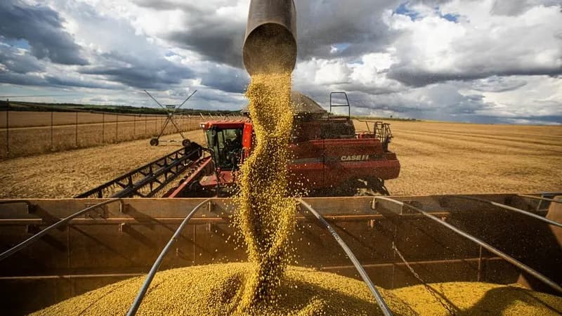 CNI mantém previsão de alta do PIB em 2,3% mesmo com tarifaço dos EUA