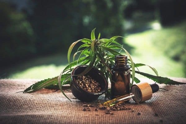 Prefeitura de São Paulo vai ampliar oferta de canabidiol pelo SUS