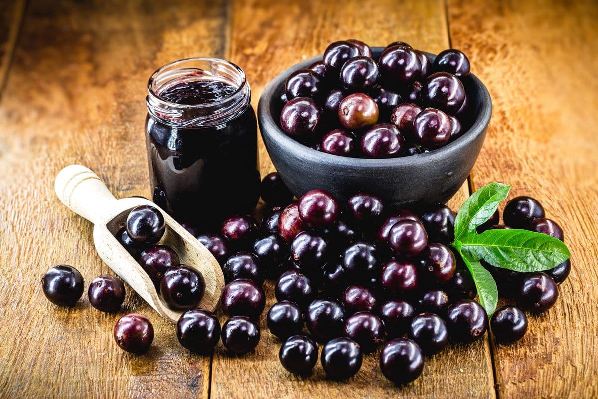 Jabuticaba: A Fruta Brasileira Que Protege Sua Saúde!