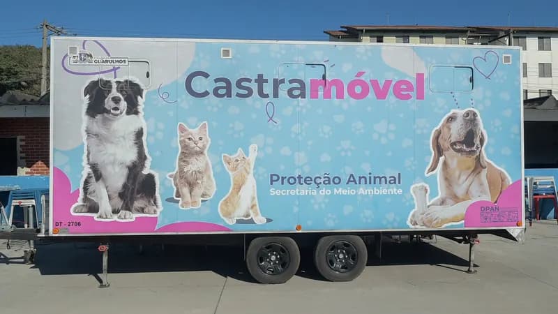 Prefeitura realiza 800 castrações gratuitas de cães e gatos em cinco bairros no mês de agosto