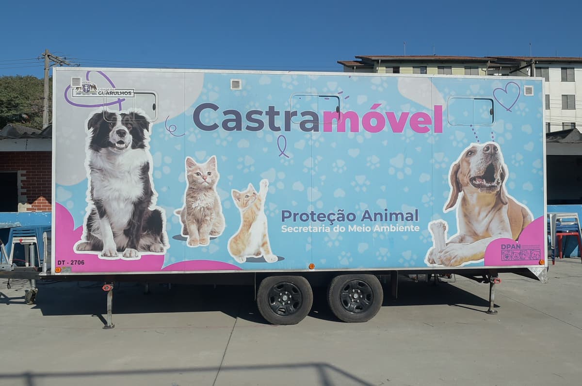 Prefeitura realiza 800 castrações gratuitas de cães e gatos em cinco bairros no mês de agosto