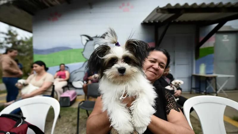 Castra Pet Móvel atende tutores da região do Bonsucesso nesta semana