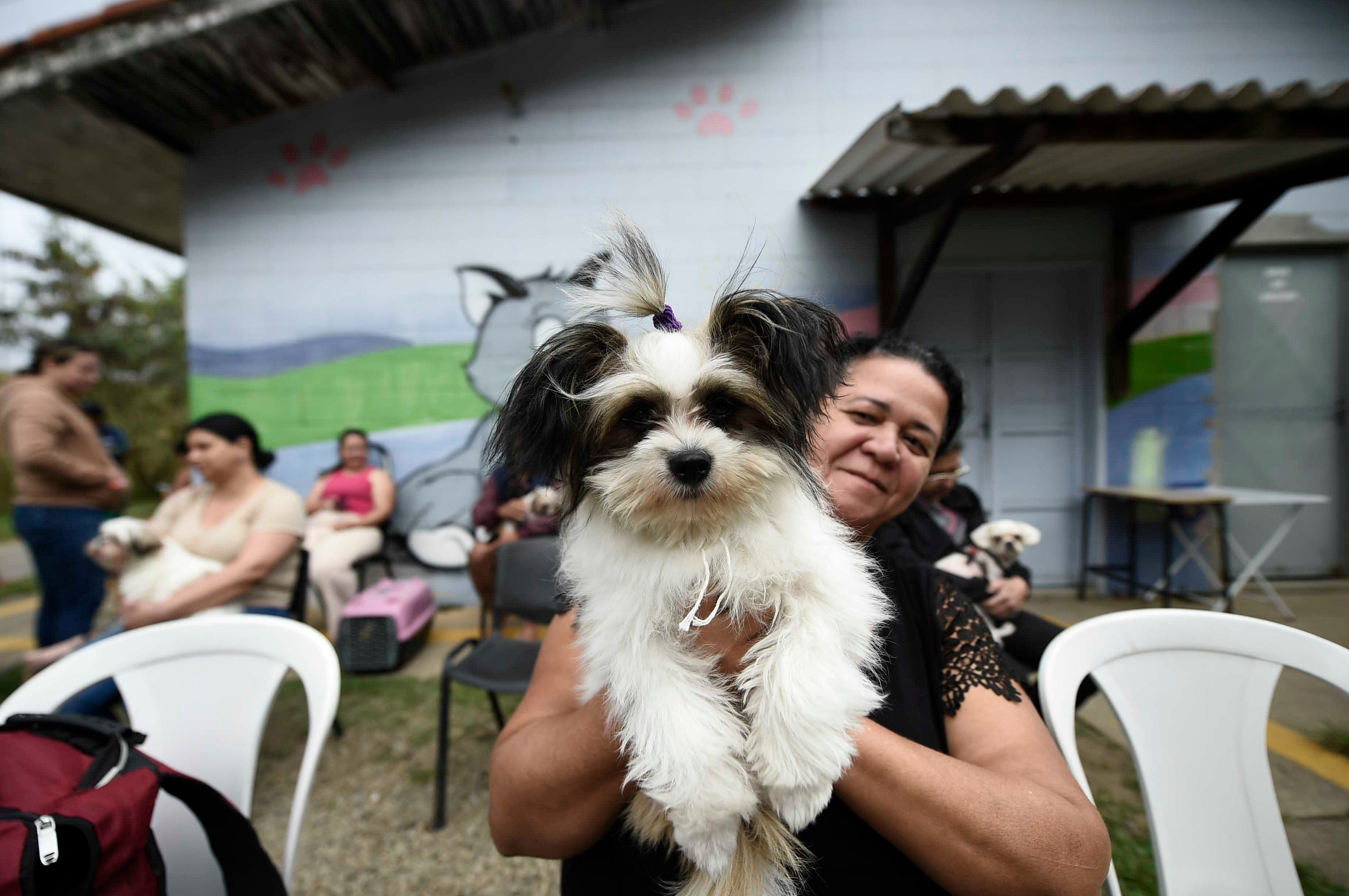 Castra Pet Móvel atende tutores da região do Bonsucesso nesta semana