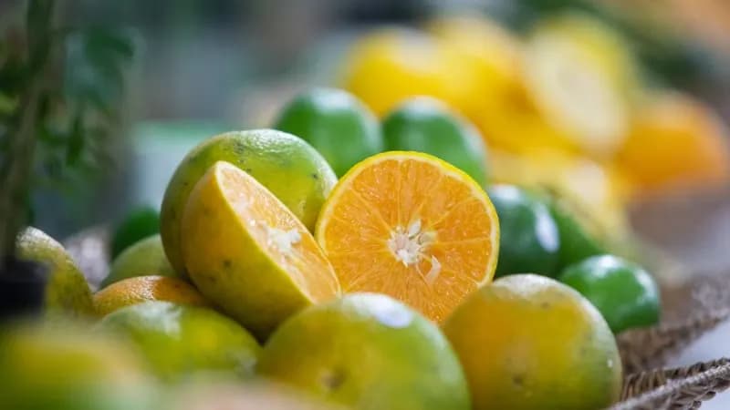 Fruticultura paulista exporta mais de US$ 250 milhões