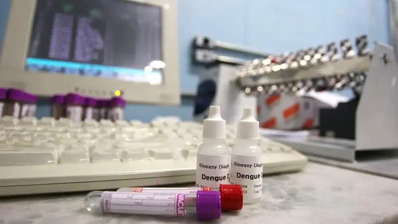 Saúde encaminha 2 milhões de testes rápidos de dengue para São Paulo