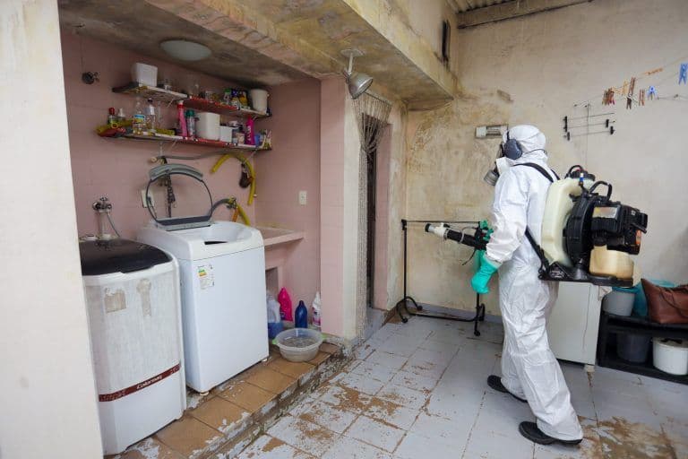 Governo de SP destina R$ 72,5 milhões para intensificar o combate à dengue na região metropolitana de SP