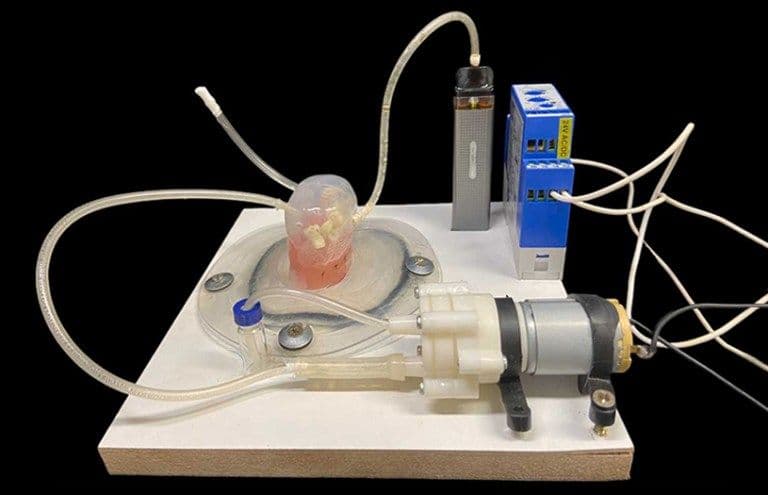 Cigarro eletrônico altera estrutura dos dentes e aumenta risco de cáries, mostra estudo de SP